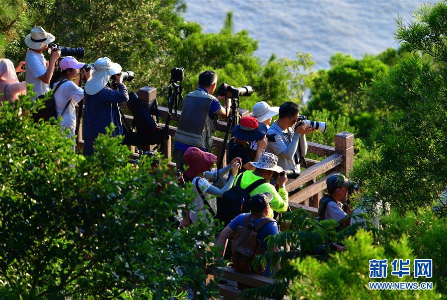 （美麗中國）（7）福建霞浦：光影灘涂 旅攝“圣地”