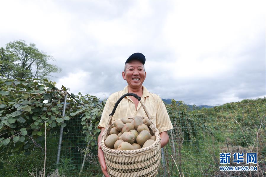 （經濟）（2）江西廬山：產業扶貧促增收