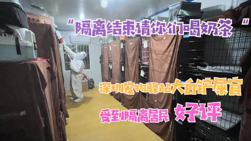 寵TA丨“隔離結束請你們喝奶茶！“ 大白鏟屎官受隔離居民好評